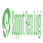 SupportHeroLugi