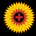 urgentcarekansas