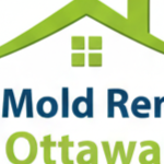 atticmoldremovalottawa
